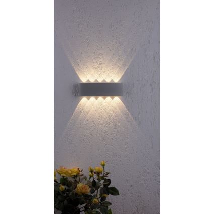 Paul Neuhaus 9489-21- LED Zunanja stenska svetilka CARLO 10xLED/0,8W/230V IP54