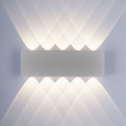 Paul Neuhaus 9489-21- LED Zunanja stenska svetilka CARLO 10xLED/0,8W/230V IP54