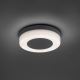 Paul Neuhaus 9490-13 - LED Zunanja svetilka FABIAN LED/12,6W/230V IP54