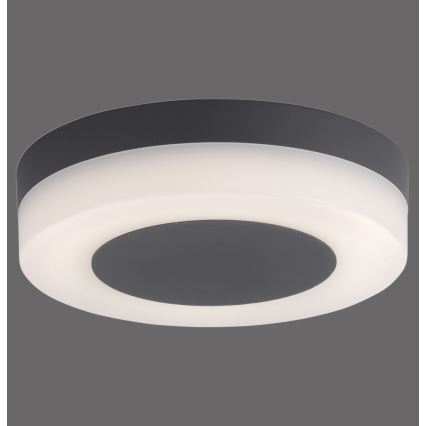 Paul Neuhaus 9490-13 - LED Zunanja svetilka FABIAN LED/12,6W/230V IP54