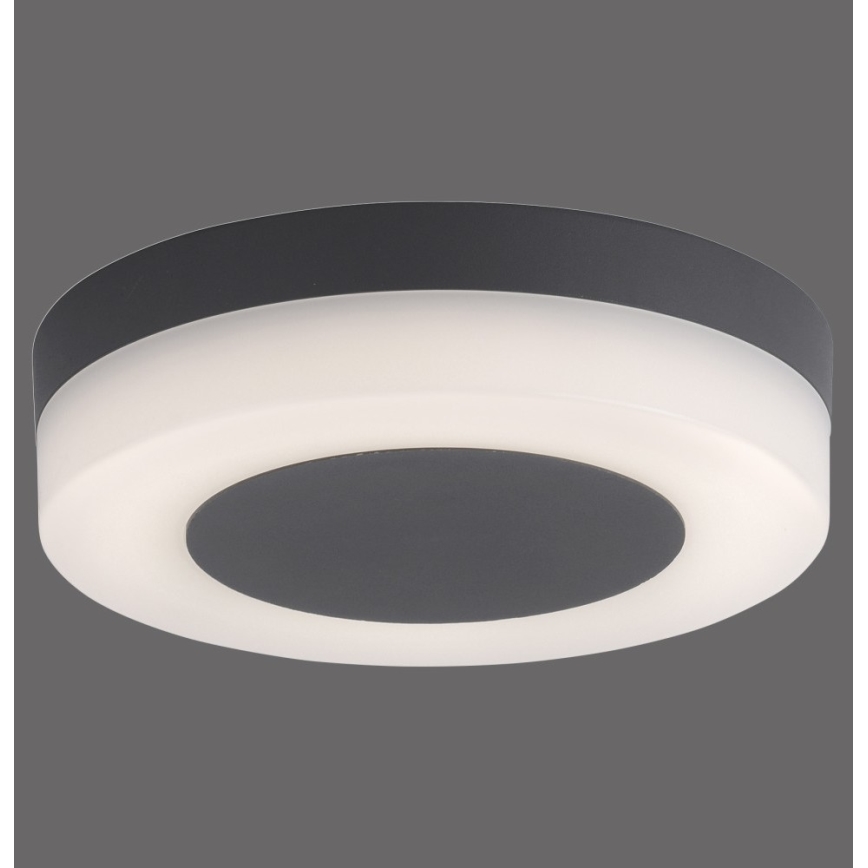 Paul Neuhaus 9490-13 - LED Zunanja svetilka FABIAN LED/12,6W/230V IP54