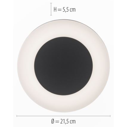 Paul Neuhaus 9490-13 - LED Zunanja svetilka FABIAN LED/12,6W/230V IP54