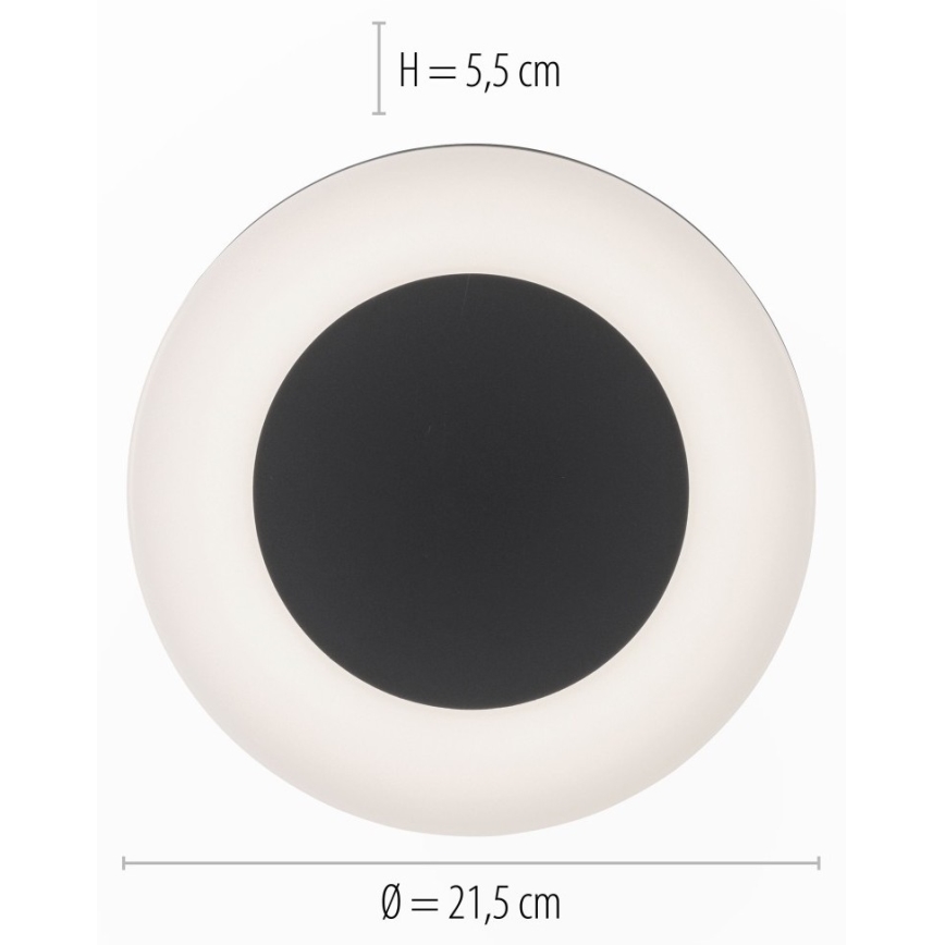 Paul Neuhaus 9490-13 - LED Zunanja svetilka FABIAN LED/12,6W/230V IP54