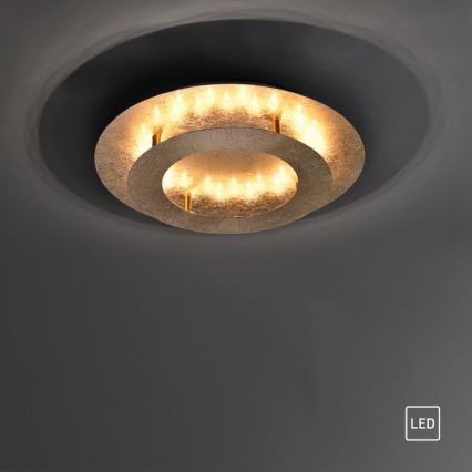 Paul Neuhaus 9620-12 - LED Stropna svetilka NEVIS LED/18W/230V zlata