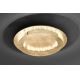 Paul Neuhaus 9621-12 - LED Stropna svetilka NEVIS LED/24W/230V
