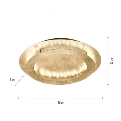 Paul Neuhaus 9621-12 - LED Stropna svetilka NEVIS LED/24W/230V