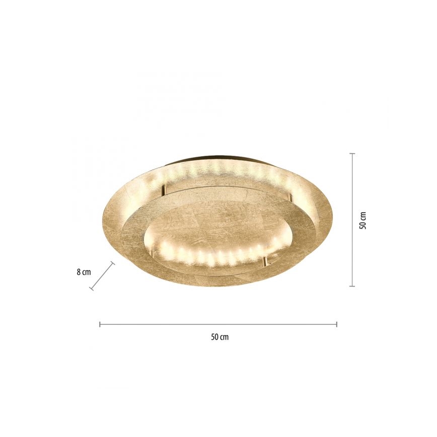 Paul Neuhaus 9621-12 - LED Stropna svetilka NEVIS LED/24W/230V