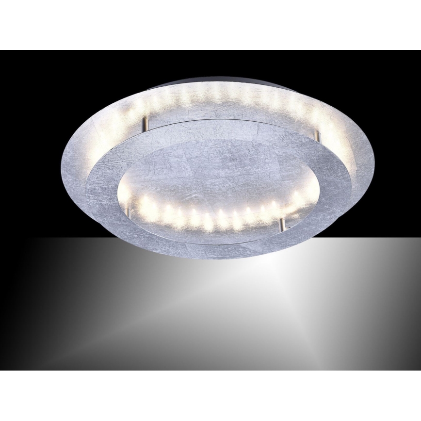 Paul Neuhaus 9621-21 - LED Stropna svetilka NEVIS LED/24W/230V