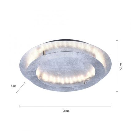 Paul Neuhaus 9621-21 - LED Stropna svetilka NEVIS LED/24W/230V