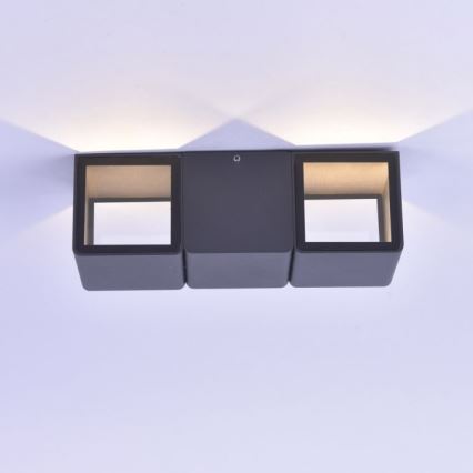 Paul Neuhaus 9658-13 - LED Zunanja stenska svetilka MARCEL 2xLED/4W/230V IP54