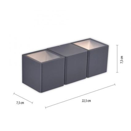 Paul Neuhaus 9658-13 - LED Zunanja stenska svetilka MARCEL 2xLED/4W/230V IP54