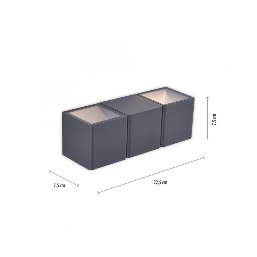 Paul Neuhaus 9658-13 - LED Zunanja stenska svetilka MARCEL 2xLED/4W/230V IP54