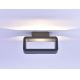 Paul Neuhaus 9668-13 - LED Zunanja stenska svetilka HENDRIK LED/5,2W/230V IP54