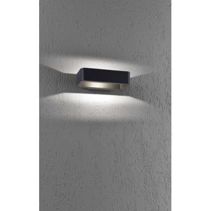 Paul Neuhaus 9668-13 - LED Zunanja stenska svetilka HENDRIK LED/5,2W/230V IP54