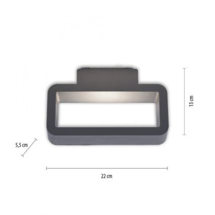 Paul Neuhaus 9668-13 - LED Zunanja stenska svetilka HENDRIK LED/5,2W/230V IP54