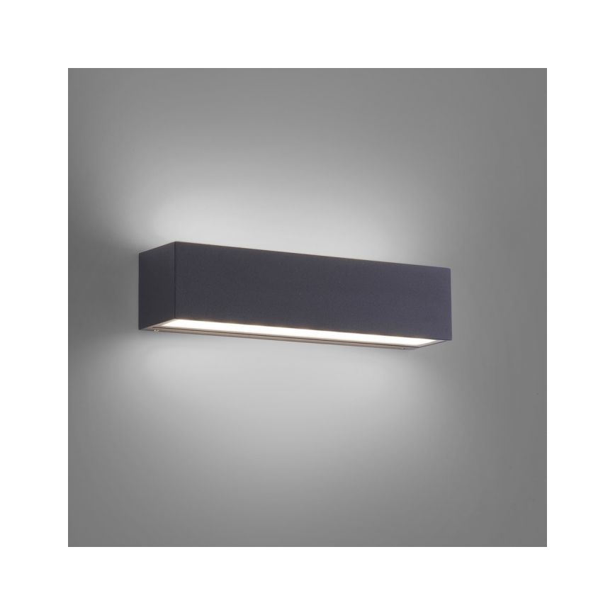 Paul Neuhaus 9675-13 - LED Zunanja stenska svetilka ROBERT 2xLED/9W/230V IP65