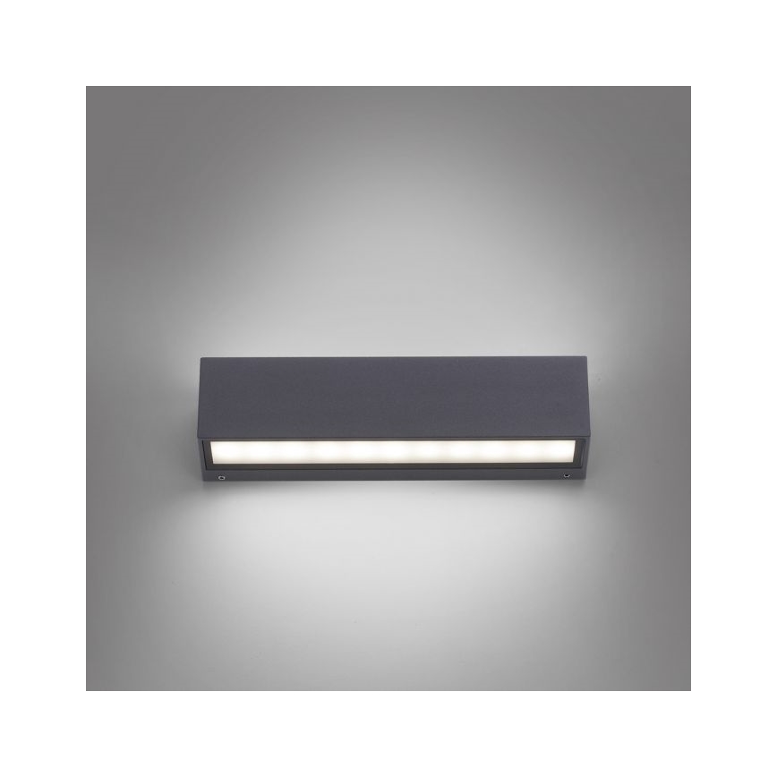 Paul Neuhaus 9675-13 - LED Zunanja stenska svetilka ROBERT 2xLED/9W/230V IP65