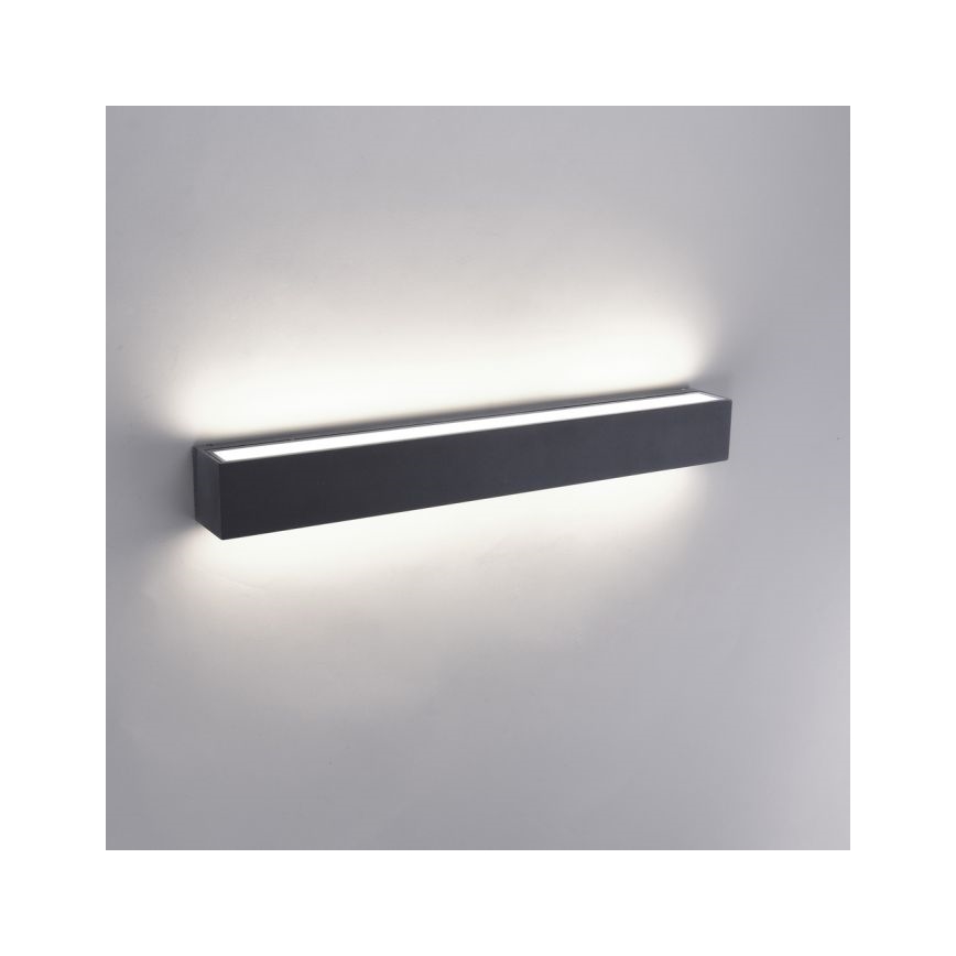 Paul Neuhaus 9676-13-LED Zunanja stenska svetilka ROBERT 2xLED/18,5W/230V IP65