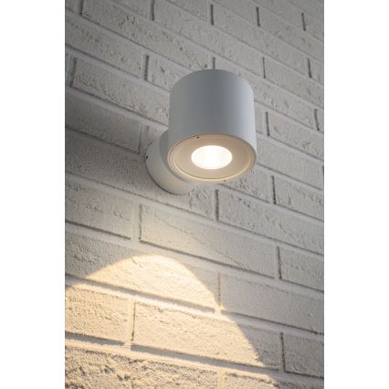 Paulmann 18007 - LED/5W IP44 Zunanja stenska svetilka FLAME 230V