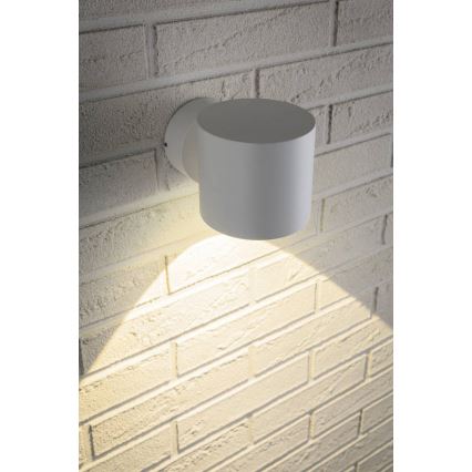 Paulmann 18007 - LED/5W IP44 Zunanja stenska svetilka FLAME 230V