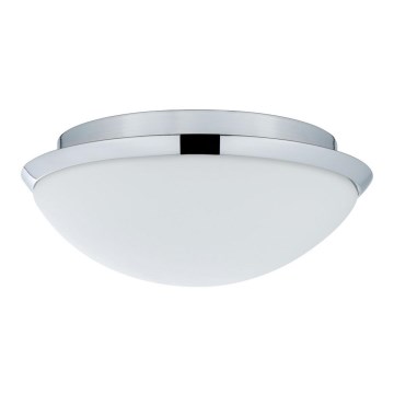 Paulmann 70299 - Kopalniška stropna svetilka BIABO 1xE27/60W/230V IP44