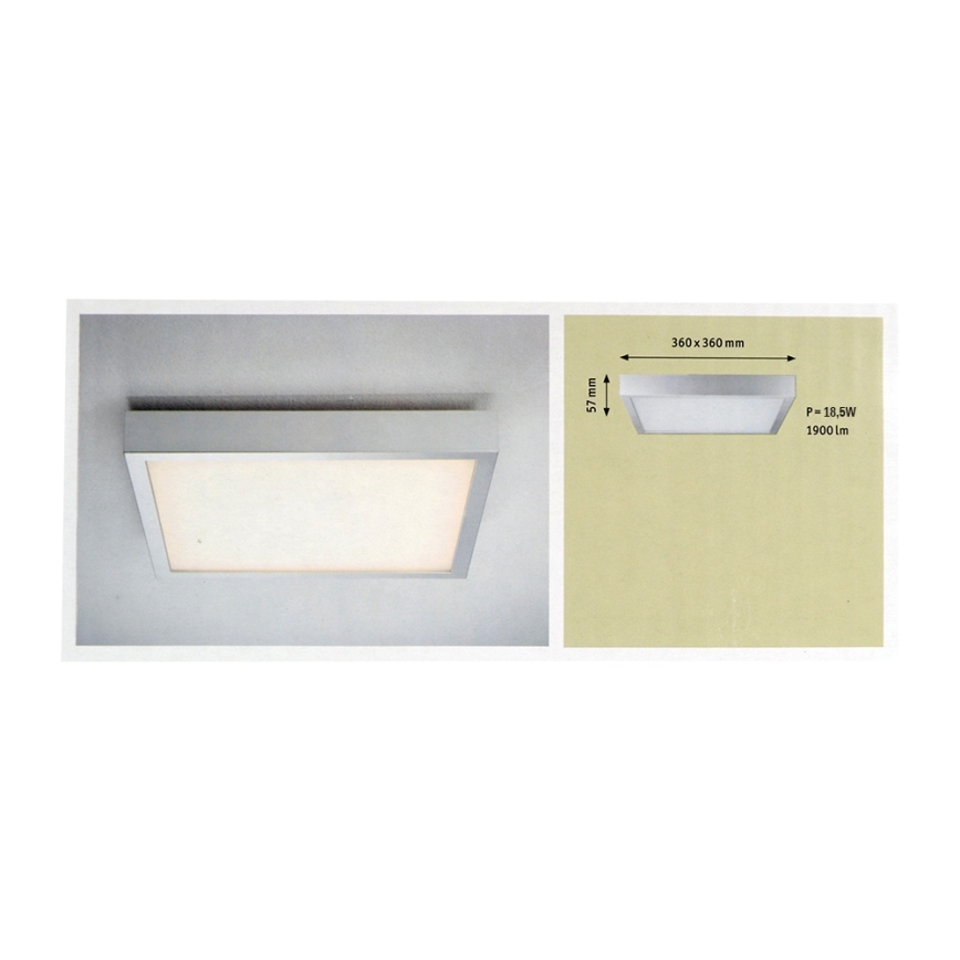 Paulmann 70385 - LED Stropna svetilka SPACE 1xLED/17W/230V