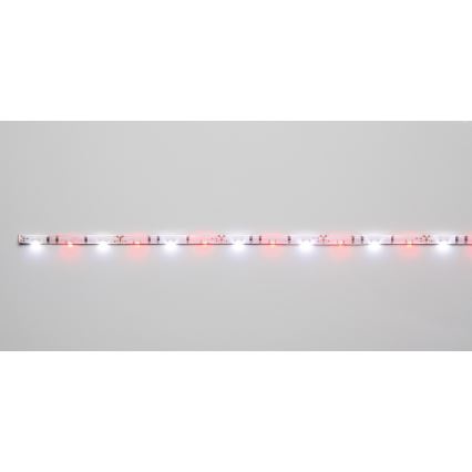 Paulmann 70457 - LED Trak 1,5W/5V 30cm