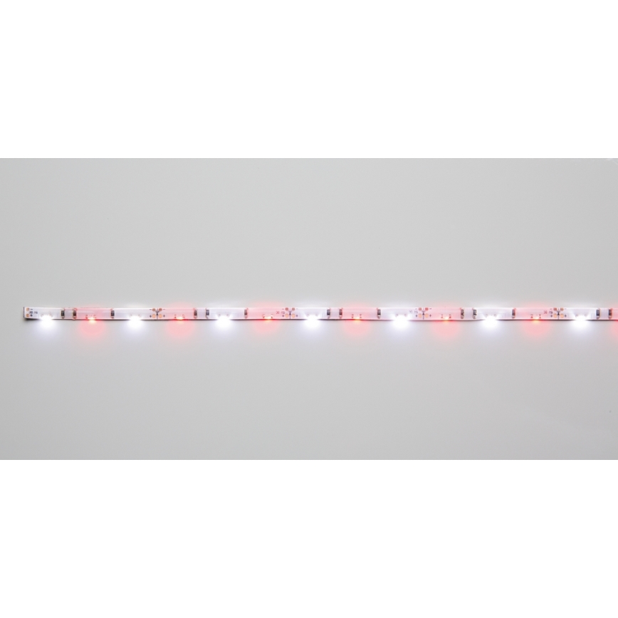Paulmann 70457 - LED Trak 1,5W/5V 30cm