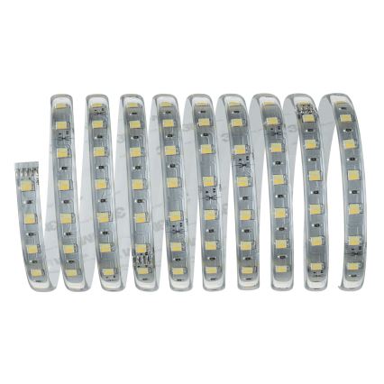 Paulmann 70624 - LED/20W Zatemnitveni trak MAXLED 3m 230V + Daljinski upravljalnik