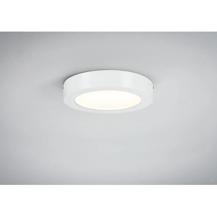 Paulmann 70642 - LED/12,5W Stropna svetilka LUNAR 230V pr. 22,5 cm bela