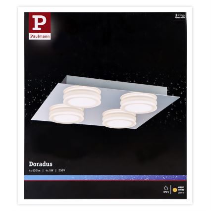 Paulmann 70875 - 4xLED/5W IP23 Kopalniška stropna svetilka DORADUS 230V