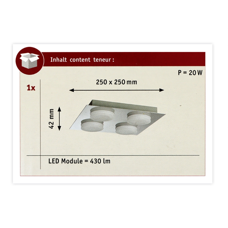 Paulmann 70875 - 4xLED/5W IP23 Kopalniška stropna svetilka DORADUS 230V