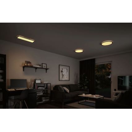 Paulmann 70999 - LED/22W Zatemnitveni panel ATRIA 230V 3000K pr. 42 cm črna