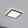Paulmann 71000 - LED/11,2W Nadgradni panel ATRIA 230V 3000K 19x19 cm črna