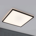 Paulmann 71002 - LED/22W Zatemnitveni panel ATRIA 230V 3000K 42x42 cm črna