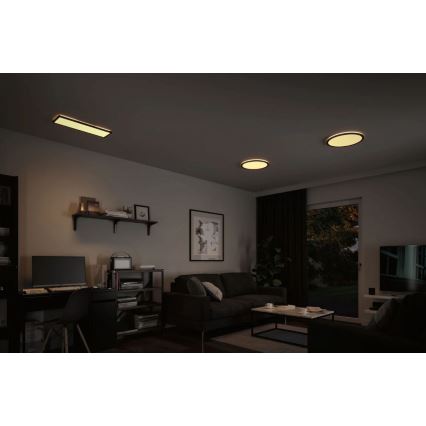 Paulmann 71003 - LED/22W Zatemnitveni panel ATRIA 230V 3000K 20x58 cm črna