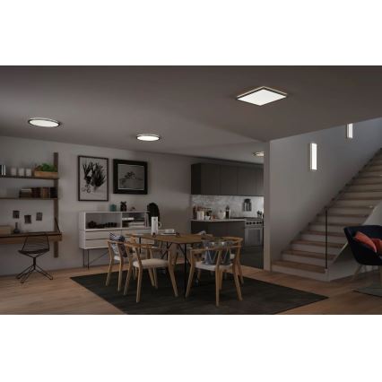 Paulmann 71009 - LED/22W Zatemnitveni panel ATRIA 230V 4000K 42x42 cm mat krom