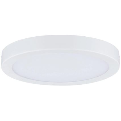 Paulmann 71021 - LED/22W Stropna luč ABIA 230V belo