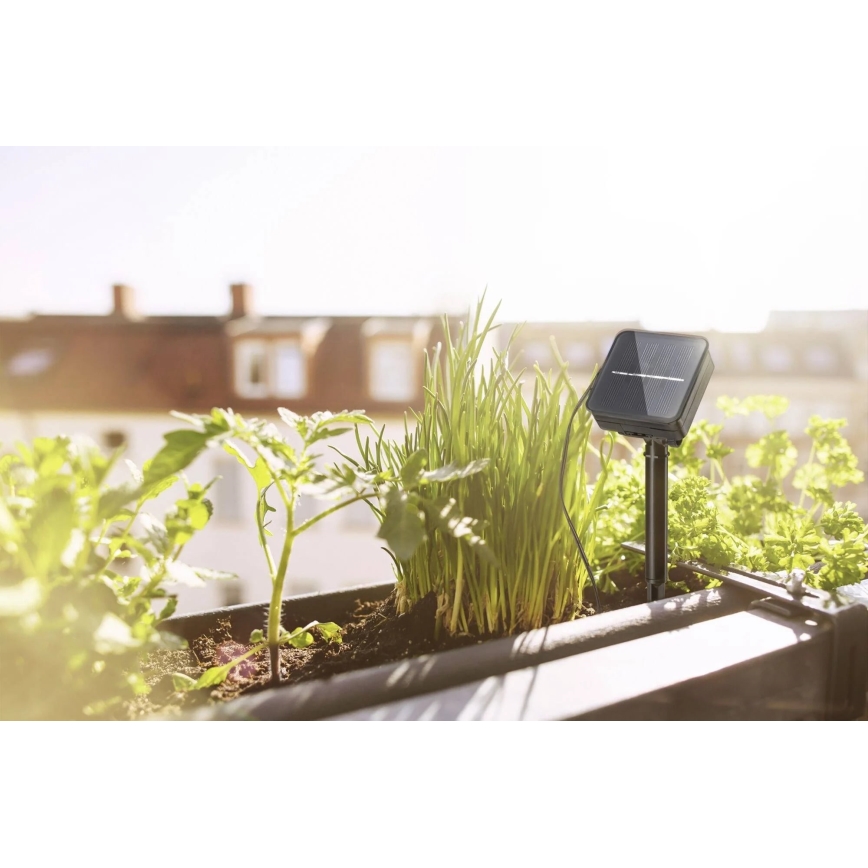 Paulmann 78896 - LED/0,3W IP44 Solarna trak 3m 1,2V 1000 mAh