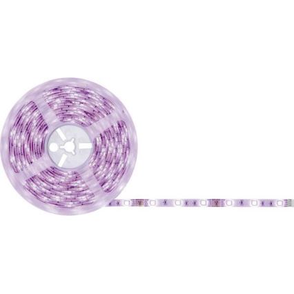 Paulmann 78979 - LED RGB/26W Zatemnitveni trak SIMPLED 7,5m 230V + Daljinski upravljalnik