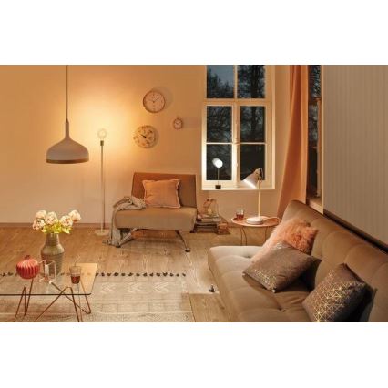 Paulmann 79615 - 1xE27/20W Noga svetilke NORDIN 230V
