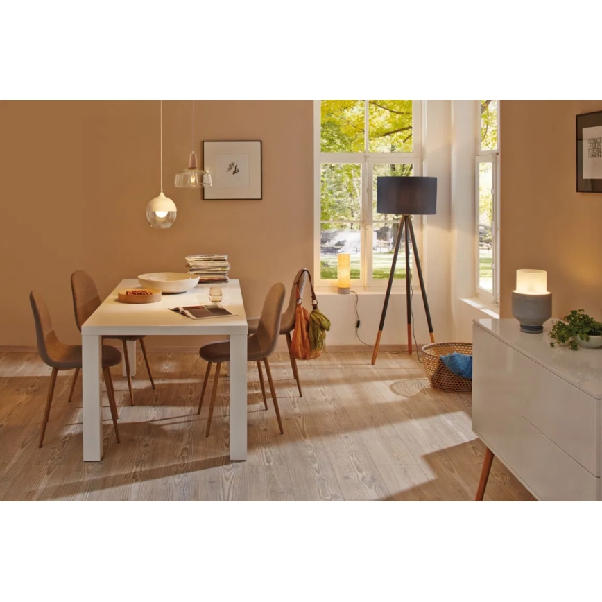 Paulmann 79633 - 1xE27/20W Talna svetilka RURIK 230V