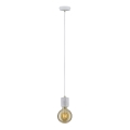 Paulmann 79750 - 1xE27/20W Lestenec na vrvici NORDIN 230V