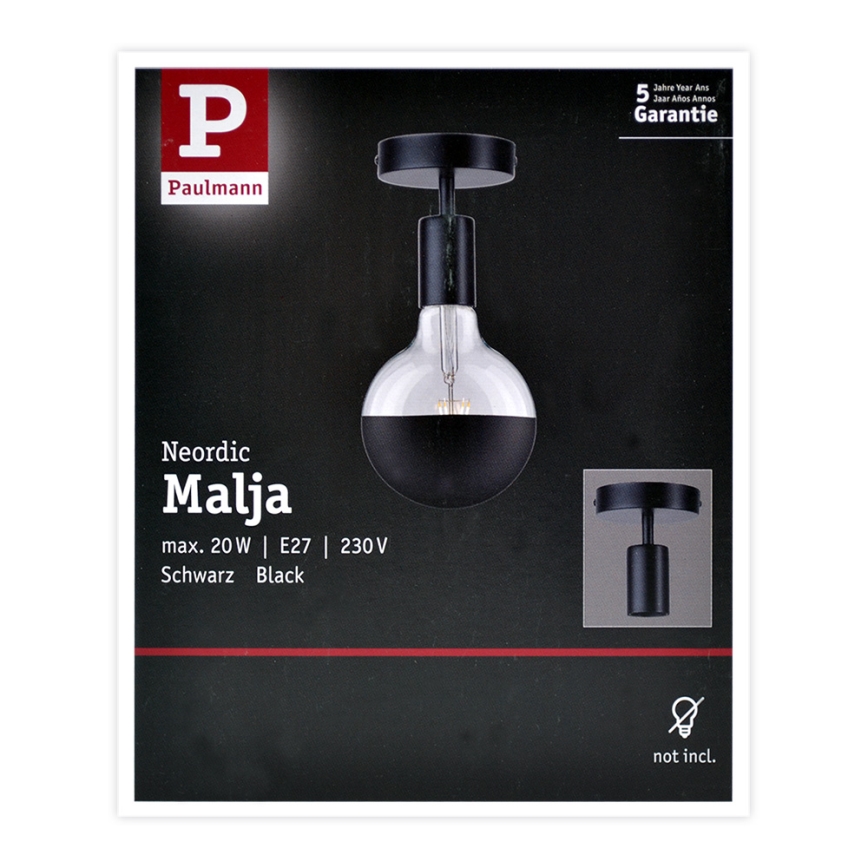 Paulmann 79760 - Stropna svetilka HALDOR 1xE27/20W/230V