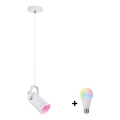 Paulmann 79767 - LED RGBW 1xE27/9W lestenec na kablu LAVEA 230V bela