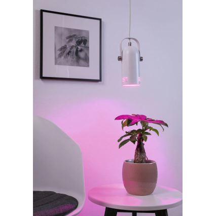 Paulmann 79767 - LED RGBW 1xE27/9W lestenec na kablu LAVEA 230V bela