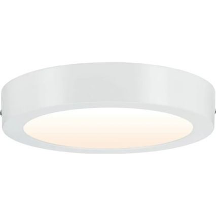 Paulmann 79795 - LED/13W Stropna svetilka CARPO 230V 2300/2500/3000K