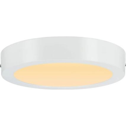 Paulmann 79795 - LED/13W Stropna svetilka CARPO 230V 2300/2500/3000K