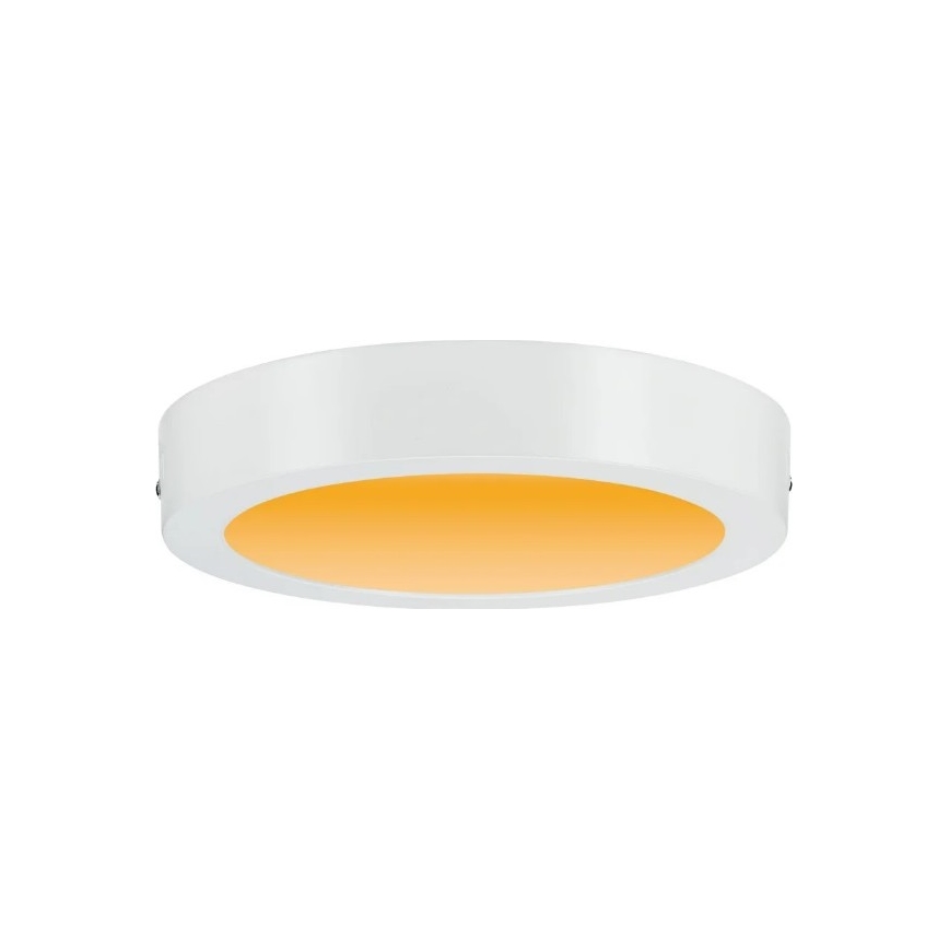 Paulmann 79795 - LED/13W Stropna svetilka CARPO 230V 2300/2500/3000K