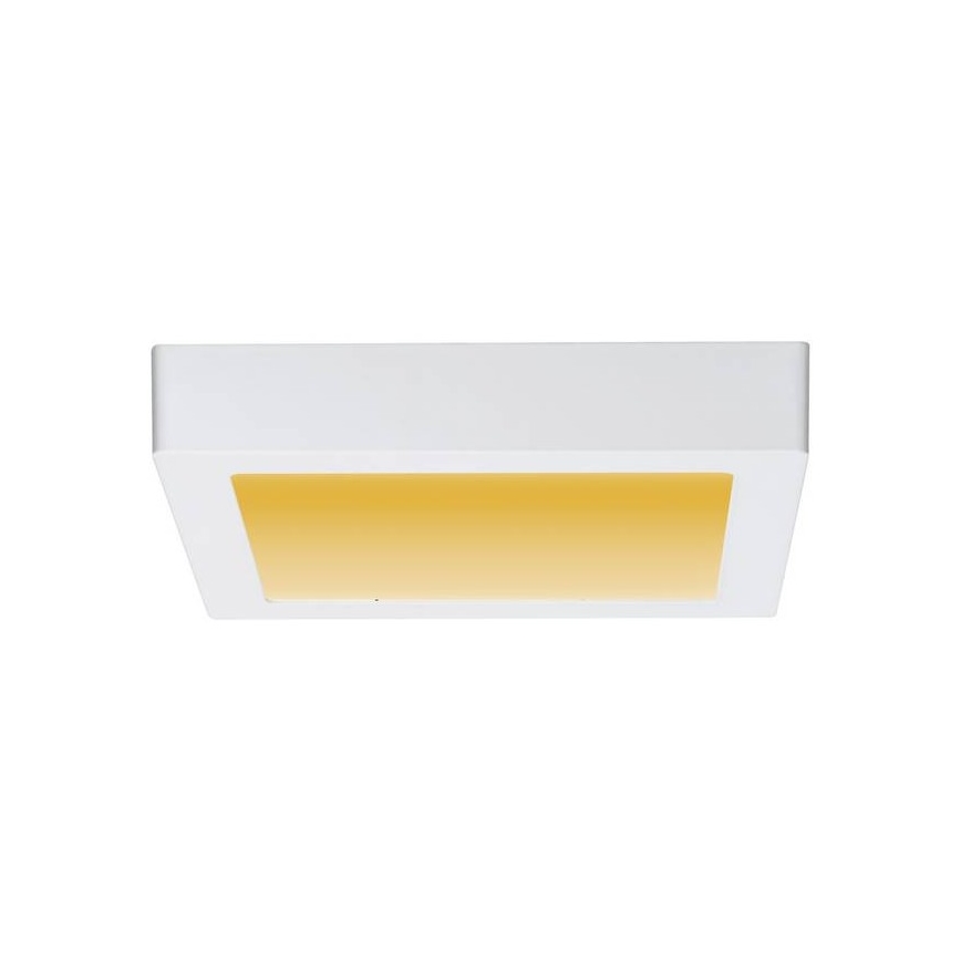 Paulmann 79796 - LED/13W Stropna svetilka CARPO 230V 2300-3000K